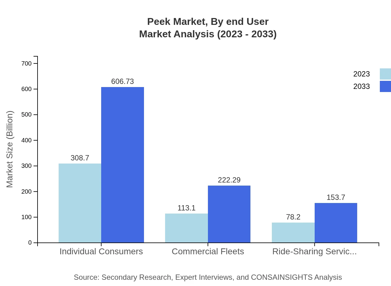 Global Peek Market, By End-User Market Analysis (2023 - 2033)